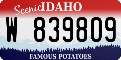 ID license plate W839809