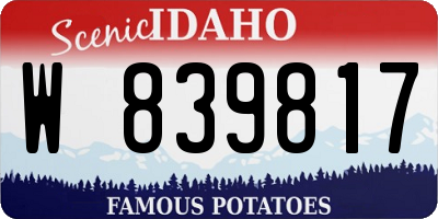 ID license plate W839817