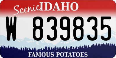 ID license plate W839835