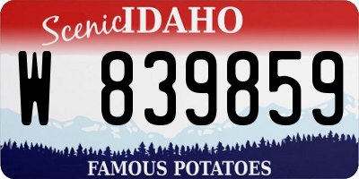 ID license plate W839859