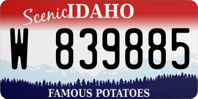 ID license plate W839885