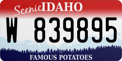 ID license plate W839895