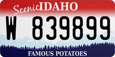 ID license plate W839899