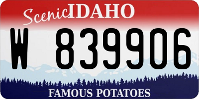 ID license plate W839906