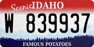ID license plate W839937