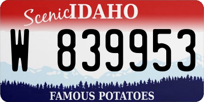 ID license plate W839953