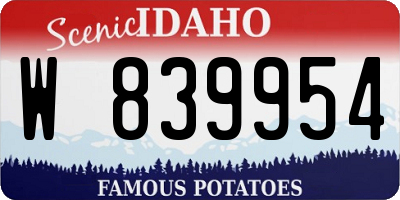 ID license plate W839954
