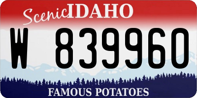 ID license plate W839960