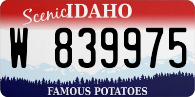 ID license plate W839975