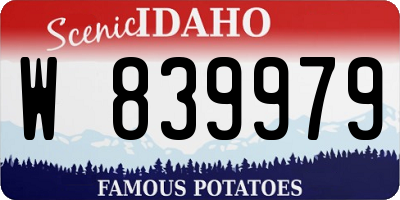 ID license plate W839979