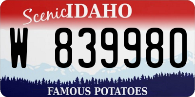 ID license plate W839980