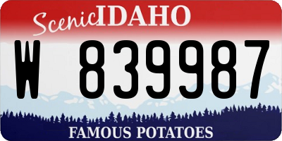 ID license plate W839987