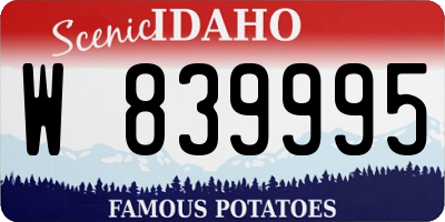 ID license plate W839995