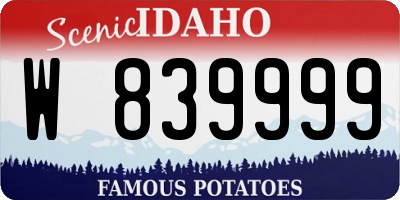 ID license plate W839999