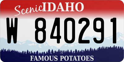 ID license plate W840291