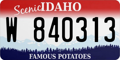 ID license plate W840313