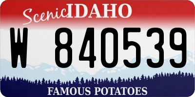 ID license plate W840539