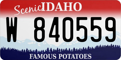 ID license plate W840559