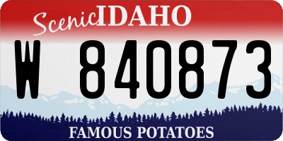 ID license plate W840873