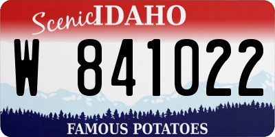 ID license plate W841022