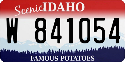 ID license plate W841054