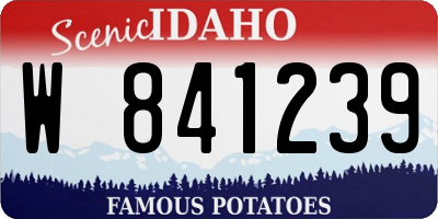 ID license plate W841239