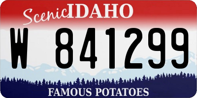 ID license plate W841299