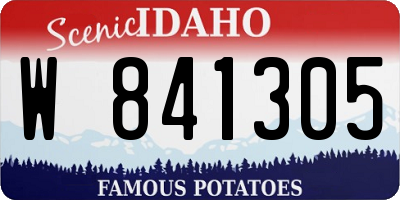 ID license plate W841305