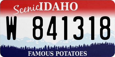 ID license plate W841318