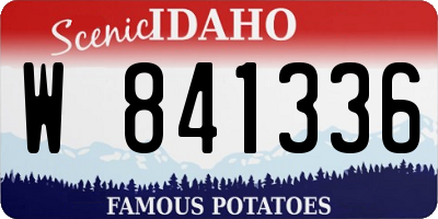 ID license plate W841336