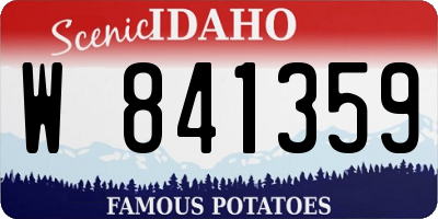 ID license plate W841359