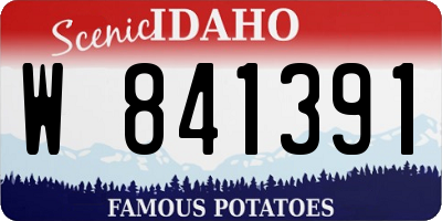 ID license plate W841391