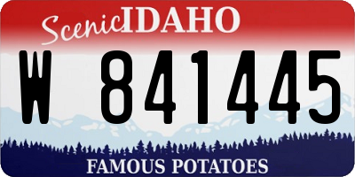 ID license plate W841445