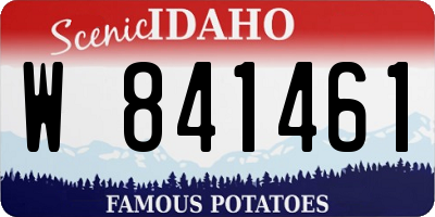 ID license plate W841461