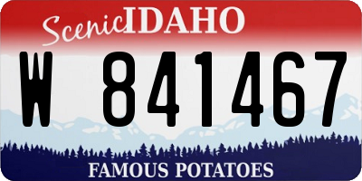 ID license plate W841467