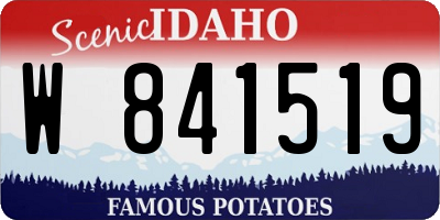 ID license plate W841519