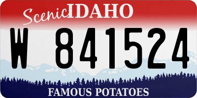 ID license plate W841524