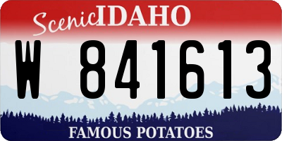 ID license plate W841613