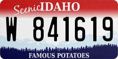ID license plate W841619