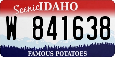 ID license plate W841638