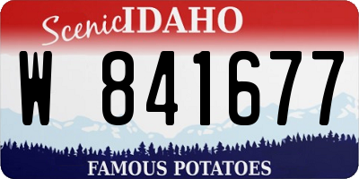 ID license plate W841677