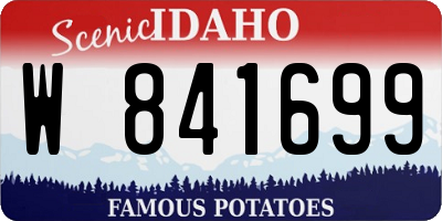 ID license plate W841699