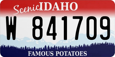 ID license plate W841709