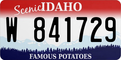 ID license plate W841729