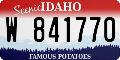 ID license plate W841770