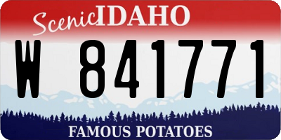 ID license plate W841771