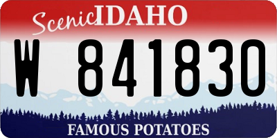 ID license plate W841830