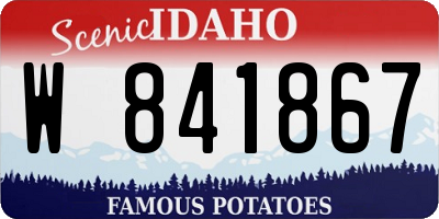 ID license plate W841867