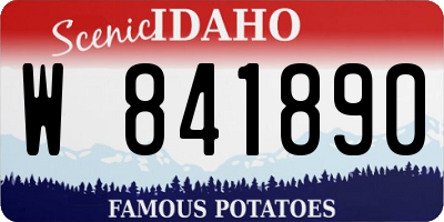 ID license plate W841890