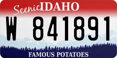 ID license plate W841891